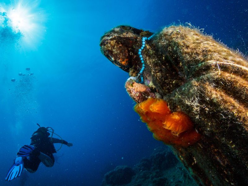 img-diving-scoglio-della-triglia-800x600
